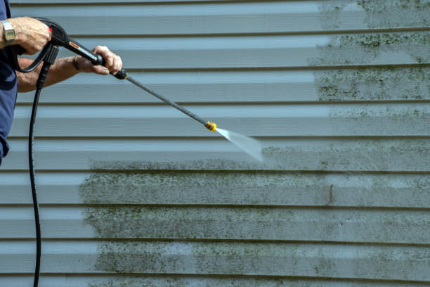Best Residential Pressure Washing Services  in Roanoke, IN