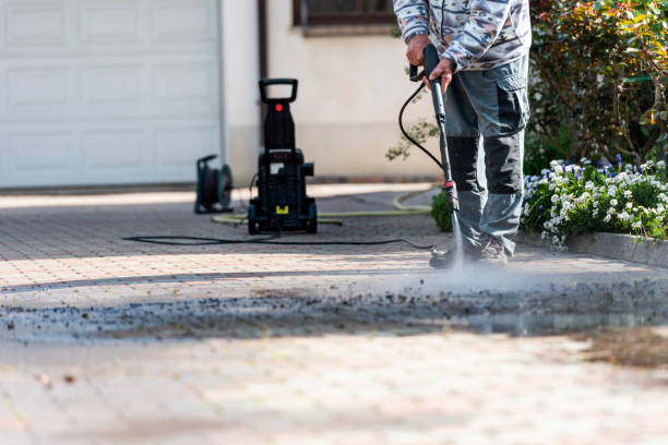 Best Residential Pressure Washing Services  in Roanoke, IN