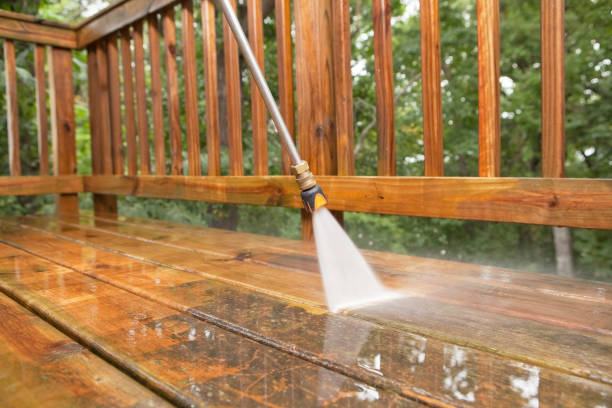 Best Deck Cleaning Services  in Roanoke, IN