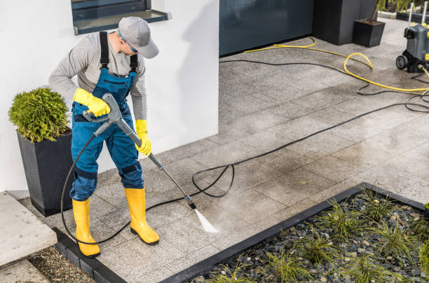 Best Power Washing Near Me  in Roanoke, IN