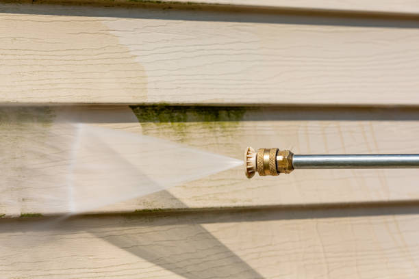 Best Concrete Pressure Washing  in Roanoke, IN